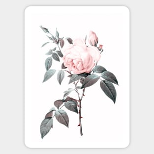 Rose Sticker